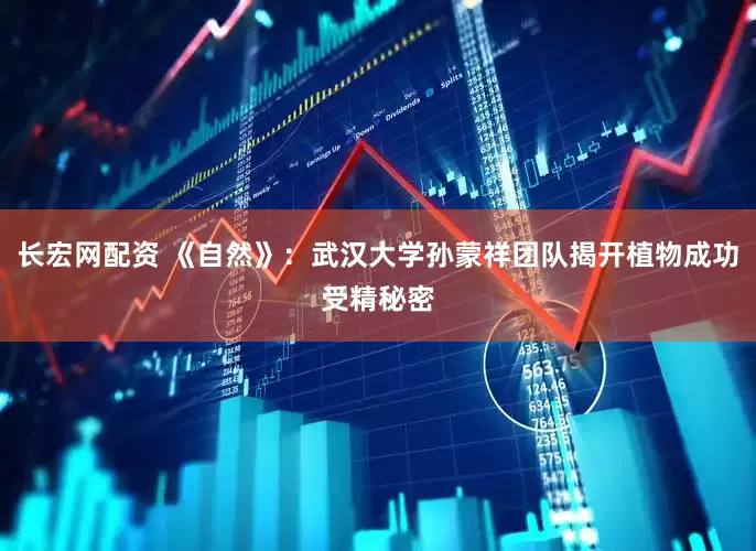 长宏网配资 《自然》：武汉大学孙蒙祥团队揭开植物成功受精秘密