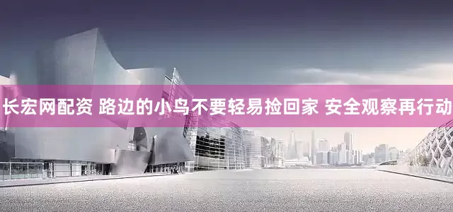 长宏网配资 路边的小鸟不要轻易捡回家 安全观察再行动